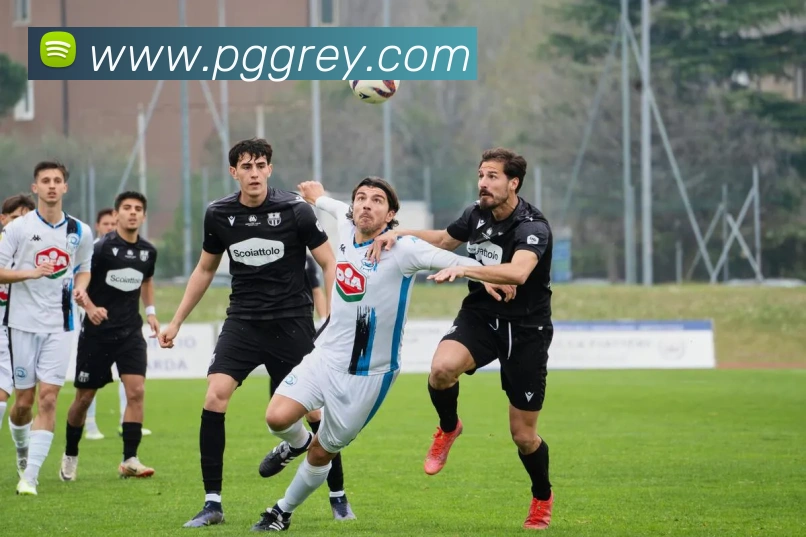 pg电子APP 体育赛事宣传图